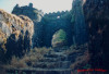 Pali Darwaja of Rajgad